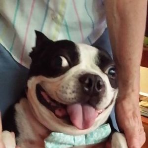 Meet your Posher, Barbara